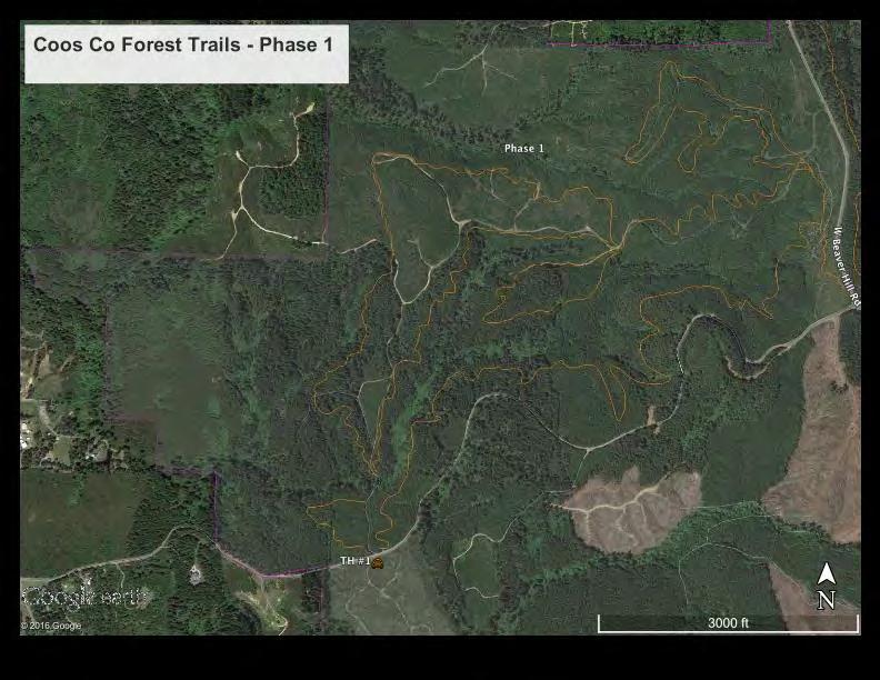 Overview Phase 1 Designed for mountain bikers