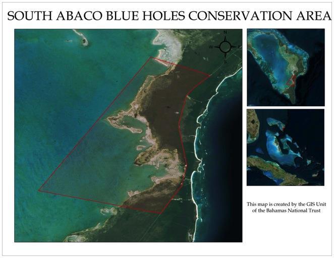 South Abaco Blue Holes Conservation Area Size: 34,000 Acres The South Abaco Blue Holes Conservation Area is located on crown and treasury pinelands between the South Bahama Palms Shores residential