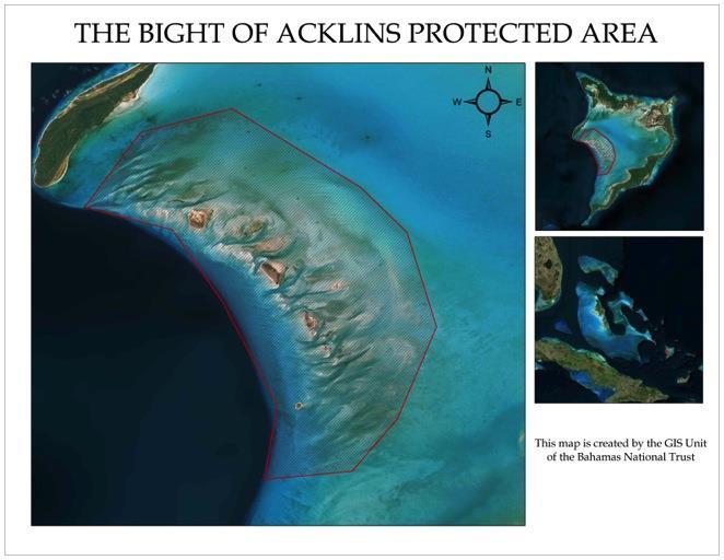 ACKLINS/ CROOKED ISLAND Acklin's Bight Size: 61,500 Acres The cays known as North Cay, Fish Cay, Guana Cay, Wood Cay and South Cay constitute the known range of the Bahamian Rock Iguana (Cyclura