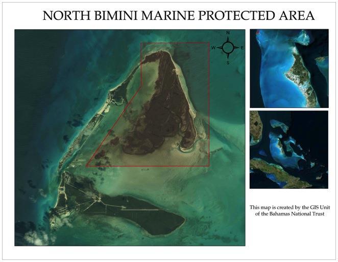 BIMINI North Bimini Marine Protected Area Size: 6,000 Acres The eastern half of Bimini Sound and adjacent waters contain mangrove and seagrass habitats.