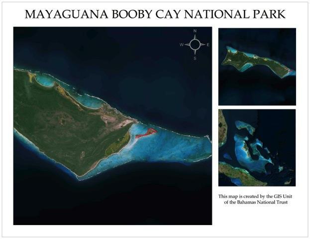 MAYAGUANA BOOBY CAY NATIONAL PARK Size: 120 Acres Booby Cay is located on the eastern side of the island of Mayaguana. Booby Cay is of significant value for the resting seabirds of the area.