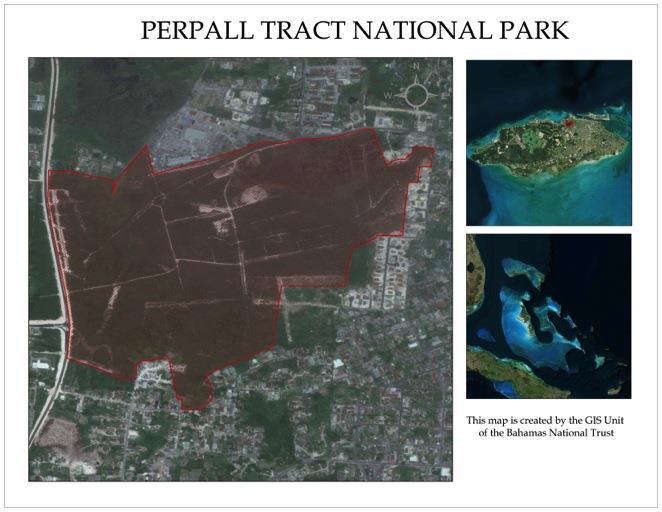 Perpall Tract National Park Size: 177 Acres Perpall Tract is one such area, containing its rich variety of native, endemic and medicinal flora.