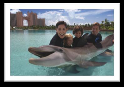 Attractions and Services from Orbitz Atlantis Dolphin Cay Experience Don't miss this once-in-a-lifetime opportunity to swim with the dolphins!