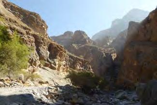 Tanuf and its affluent the Wadi Qashah flow down from the Jebel Akhdar, cutting deep and