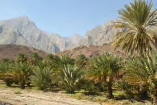 You can have a short hike and a swim in the Wadi Qurai.