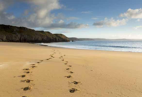 Get in touch Interested in booking a stay at Stackpole Centre or Gupton Farm? We d love to hear from you. Stackpole Centre 01646 623110 / stackpole.bookings@nationaltrust.org.