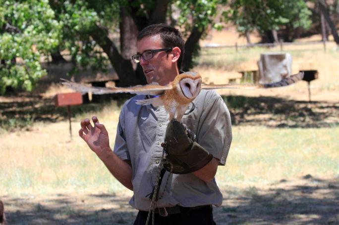 The Raptor Institute's second (of three) program is July 16, and there was mention of new birds for this one.