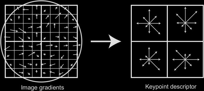 11) Nakon toga, formulira se histogram orijentacija koristeći ranije izračunate orijentacije u odre denom području oko ključne točke.