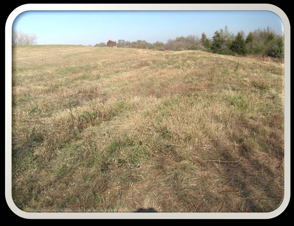 Above: this picture shows the area looking from the south end to the north that the caretaker mowed this past week.