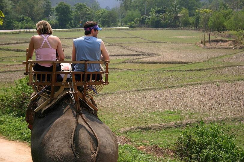 Day 4: Elephant Training and Riding at Thai Elephant Home Meals: B, L Eurasia Chiang Mai Hotel Hang on for a day you ll never forget.