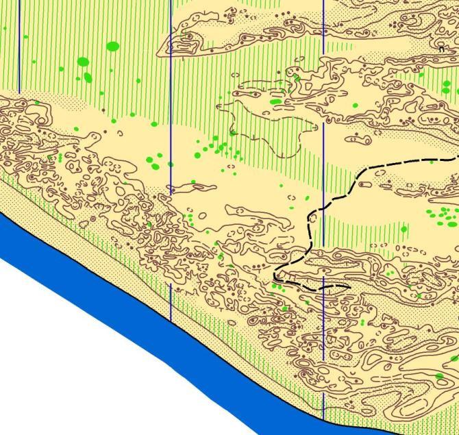 7. Training Training maps for World Cup Events 1 & 2 will be available from 29 December 2012 in the Palmerston North area. World Cup Event 1: Harakeke, 1:10000, 2.5m contour interval, approx.