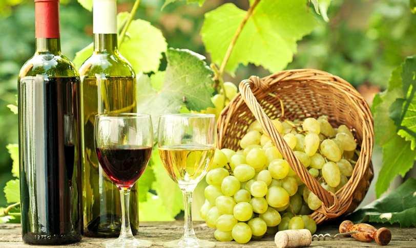 Optional Social Networking Commandaria & Wine Routes/ Tour Activities Take a trip back in time and discover the secrets of the island s most ancient and famous wine - the sweet dessert wine of