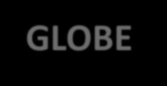GLOBE INVESTMENTS HOLDINGS