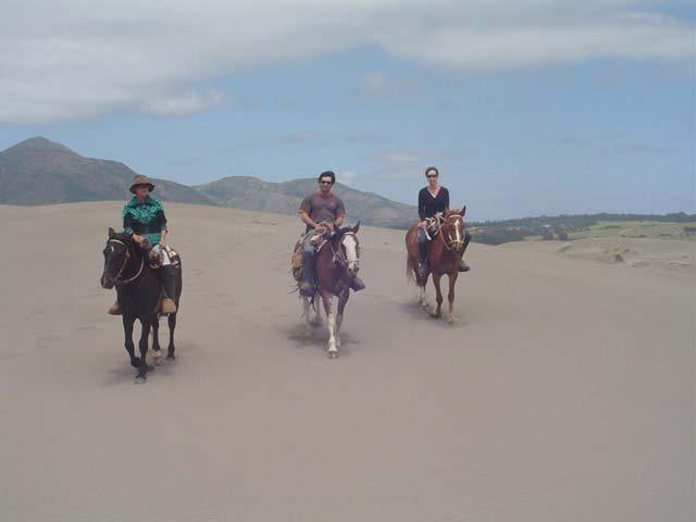 Optional tours from Viña del Mar Ritoque Dunes Valparaíso Chile Horseback Riding Half Day Three hours horse riding tour through a marsh area, the sand dunes, and the beach of Ritoque.