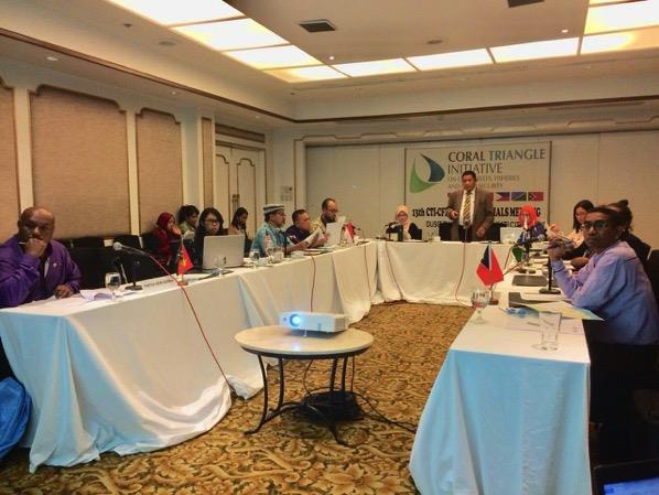 CORAL TRIANGLE MARITIME LOCAL GOVERNMENT NETWORK Facilitate and improve coordination mechanisms among CTI- CFF Maritime LGN