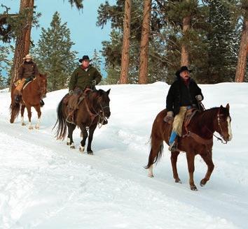 EQUESTRIAN EXCURSIONS 1-Hour Trail Ride 1-Hour Private Trail Ride Kids Indoor Arena Lessons