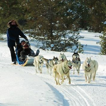 SNOWMOBILE TOURS AND DOGSLEDDING NOTE: You must be at least 16 years old and have a valid