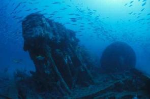 all others located less than 7 meters below the surface, close to the beach, are appropriate for beginner divers.