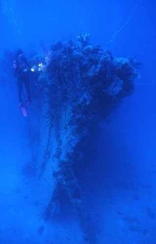 6. Wellington wreck (New Zealand) The wreck of the Wellington in New Zealand is perhaps the world s most accessible dive wreck.