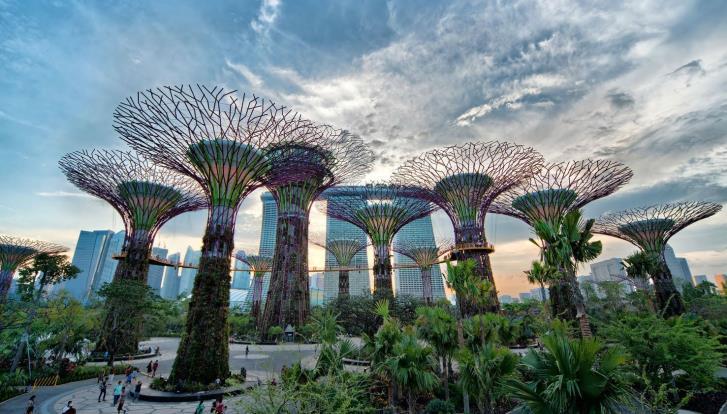In the evening you will be taken for one of the best wonder of Singapore: Gardens by the Bay. The world's premier tropical waterfront garden.