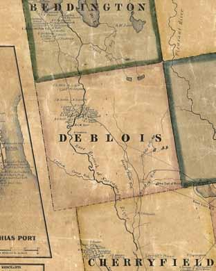 DEBLOIS Topographical Map of the County of Washington, Maine