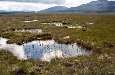 Even the great Irish botanist Robert Lloyd Praeger found the Nephin Beg mountain range and its great apron of peatland, now the heart of the Ballycroy National Park, the very loneliest place in this