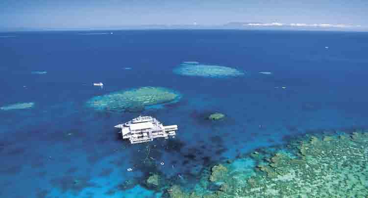 arrier Reef Wanderer Reduced Group Size, max.