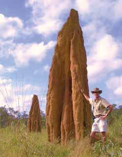 the inner beauty of our our beautiful and less travelled outback. 2 Termite Mound CAPE YORK Cape York Peninsular is one of the last unspoilt frontiers in Australia.