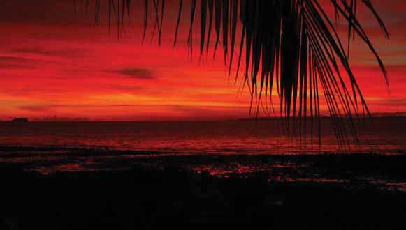 Spectacular Sunsets 7 Day Cape York Drive / Fly Budget Accommodated DAY 1 CAIRNS COOKTOWN (LD) After an early morning pick up from your accommodation your adventure begins.