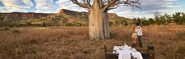 This memorable getaway whisks you from sunny Perth to the remote Kimberley, where you ll stay at El Questro Homestead (p43), a gorgeous clifftop property surrounded by a million acres of wilderness.