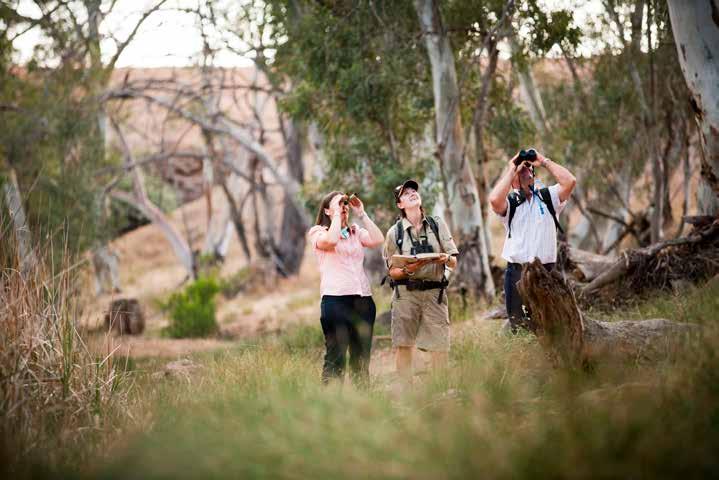 The Arkaba Walk THE ARKABA WALK NORTHERN TERRITORY Uluru (Ayers Rock) ADELAIDE Kangaroo Island Lizard Island Cairns GREAT BARRIER Townsville REEF Hamilton Island Mackay Alice Springs QUEENSLAND