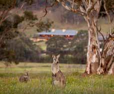 On these two pages we ve handpicked 12 of the most luxurious short-stay options in a dozen of Australia s most breathtaking destinations and displayed prices for 4 days ideal for a long weekend away.
