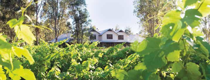 This romantic rural retreat is an excellent base to explore the wineries of the Hunter Valley or simply a very lovely setting to eat well, rest and rejuvenate.