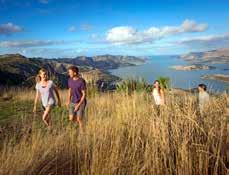 Similar to the United Kingdom in landmass, New Zealand has just one-fourteenth of the population, mostly residing in and around the North Island capital of Auckland, so visitors enjoy much of the