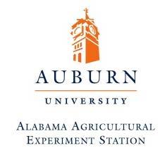 Auburn University The GWW-GoMA project