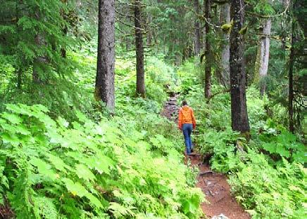 Girdwood Nature Hike (Departs From Girdwood) Dates Of Operation: June 1 st September 15 th Turnagain Turnaround Tour Dates Of Operation: Year Round Tram Permitting From Anchorage you will take a