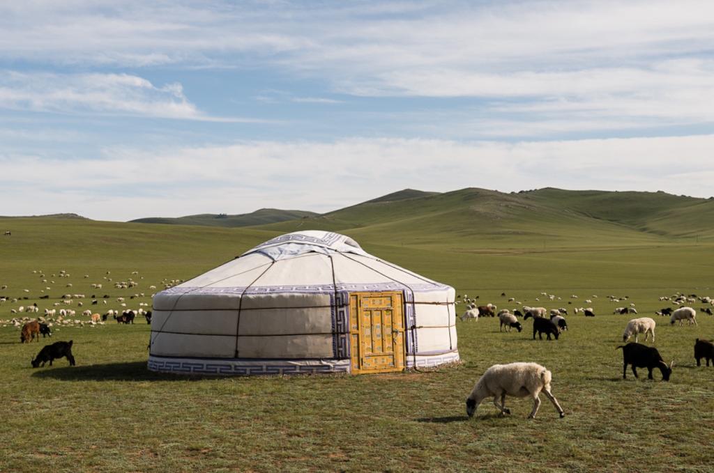 ACCOMMODATION ELSEN TASARKHAI SWEET GOBI Set right on the edge of Elsen Tasarkhai dunes in a stunning wilderness location, this eco-camp has stylishly appointed gers with double beds, comfy