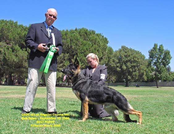 Puppy Dogs 9-12 Mos. DOGS (13d 2 pts) (BOW 3 pts) 1 st BP Yoncalla's Make My Day V Lealy Nn, DN127903/02 11/22/05 Breeder: Liz Leschhorn By: Ch.