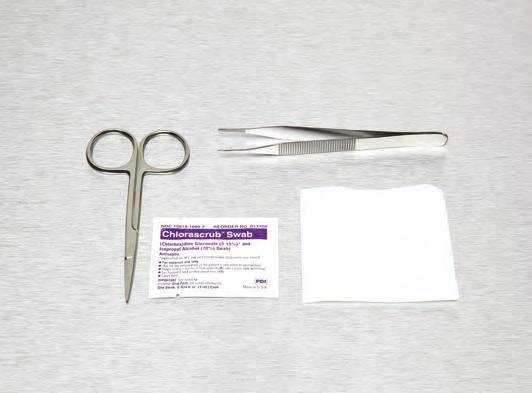 4 in x 4 in (10 cm x 10 cm), 4-ply Scissors Iris Straight Scissors Iris Straight Adson