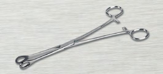 5 in (24 cm) Forester Sponge Forceps Straight, Serrated MDS10571 12 9.