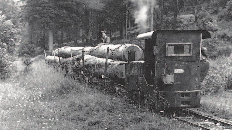 med ljudmi Ena prvih železnic svoje vrste na Slovenskem Nejc Perko, foto: Gozdarska knjižnica Biotehniške fakultete Gozdno bogastvo je bilo eden od razlogov, da je baron Julius Born leta 1891 odkupil