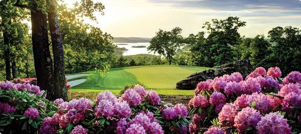 OVERNIGHT TRIPS Dogwoods of Branson April -, Complete itinerary and pricing to come!