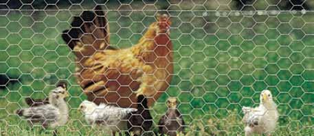 Netting RanchGuard Poultry Netting Confinement and protection for birds. Good for small animal cages. Twisted Hex is strong and flexible. Galvanized wire provides superior protection.