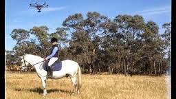 Drones and Equine Activities Unique risks: Reactions of horses to drones Potential injury if