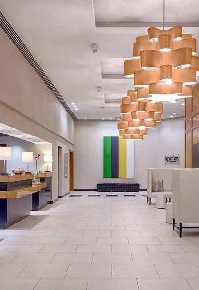 Complete with a freshly baked signature DoubleTree chocolate chip cookie on arrival, this AAA Four-Diamond rated Houston, Texas hotel is located in the premier business development, Greenway Plaza.