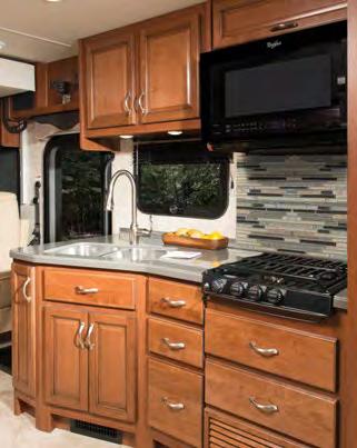 Standard Features and Options GALLEY 12 cu.ft.