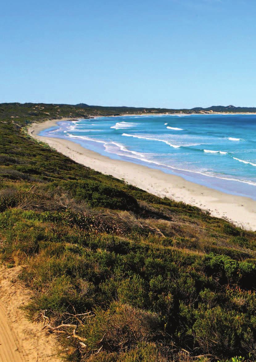 Self-Drive Short-Break Packages Holiday Packages Kangaroo Island is perfect for a self-drive holiday and SeaLink has a range of great packages for you to choose from.