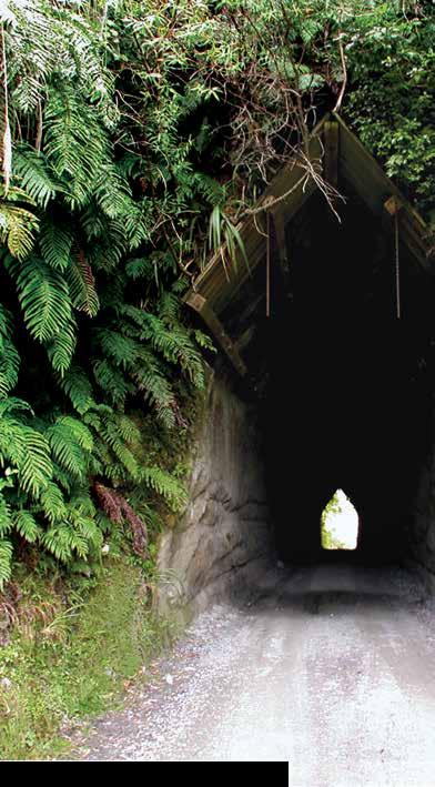 FORGOTTEN WORLD HIGHWAY New Zealand s oldest heritage trail between
