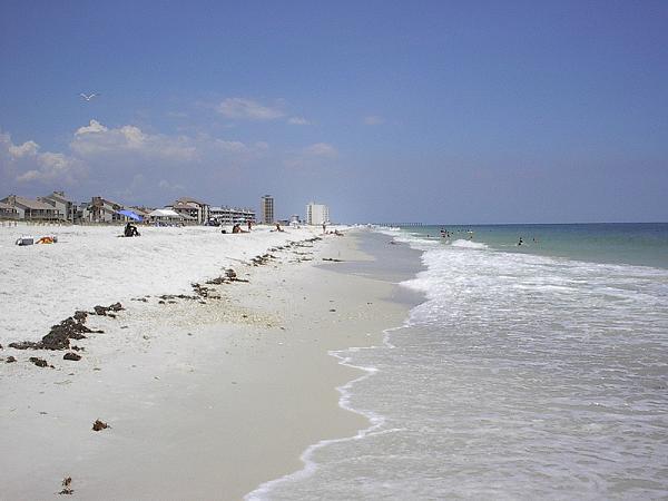 One-third of the 2004 properties and over three-fourths of 2005 properties were upland of restored beaches.