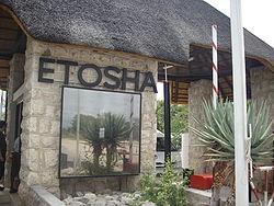 Arrival at Etosha National Park will be in the afternoon and you will spend the night at